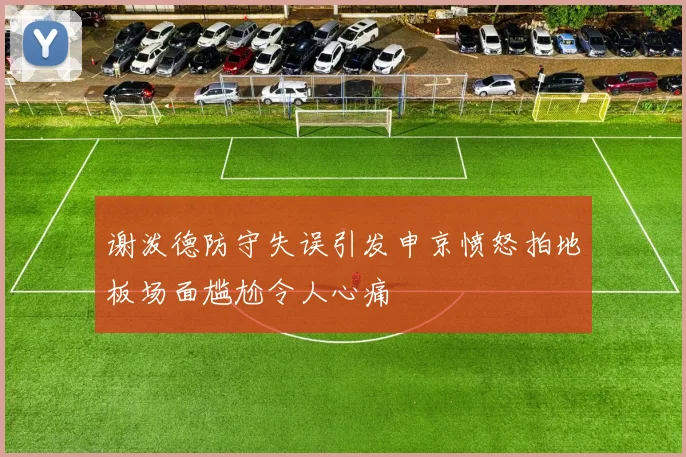 谢泼德防守失误引发申京愤怒拍地板场面尴尬令人心痛