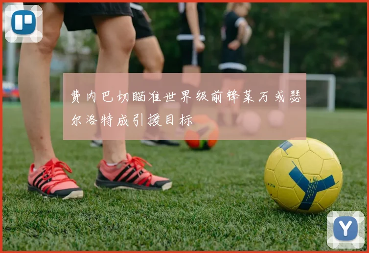 费内巴切瞄准世界级前锋莱万或瑟尔洛特成引援目标